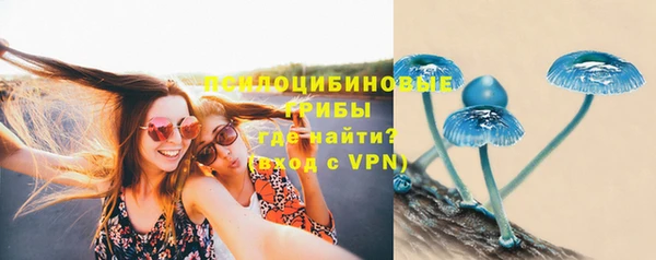 молекула духа Армянск