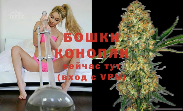 молекула духа Армянск