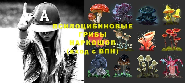MESCALINE Аркадак