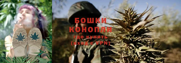 MESCALINE Аркадак