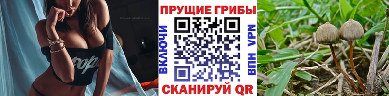 гидра ссылка  Кирово-Чепецк  Псилоцибиновые грибы ЛСД 
